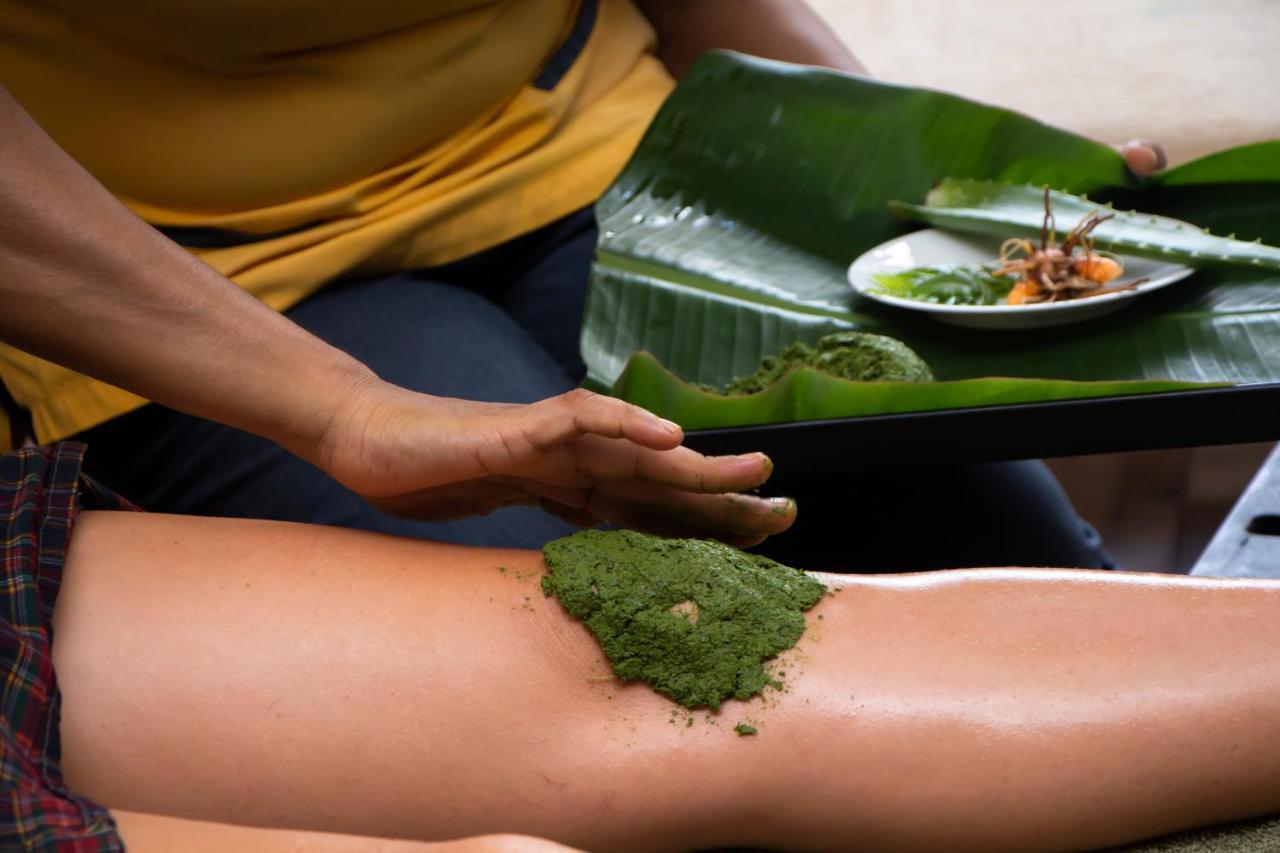 Jasmin Villa Ayurveda Resort Негомбо Экстерьер фото